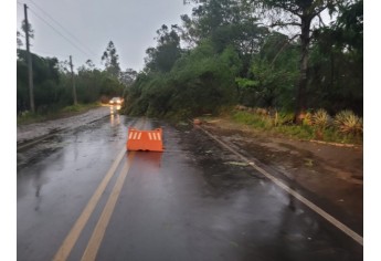 Estragos causados pelo temporal em Lucélia (Cedida/Defesa Civil Municipal).