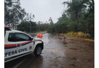 Estragos causados pelo temporal em Lucélia (Cedida/Defesa Civil Municipal).