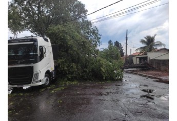 Estragos causados pelo temporal em Lucélia (Cedida/Defesa Civil Municipal).