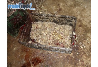 Caso é investigado pela Polícia Civil, e descoberta do local se deu após denúncia anônima (Foto: Diego Pereira/Mais Tupã).