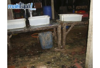 Caso é investigado pela Polícia Civil, e descoberta do local se deu após denúncia anônima (Foto: Diego Pereira/Mais Tupã).