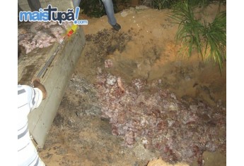 Caso é investigado pela Polícia Civil, e descoberta do local se deu após denúncia anônima (Foto: Diego Pereira/Mais Tupã).