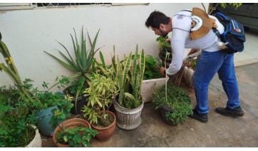 Com chuvas e riscos de dengue, Adamantina reforça alerta para evitar água parada