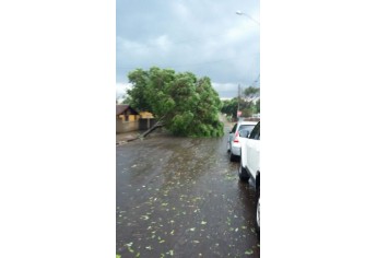 Tromba d´água avança do rio Paraná e se transforma em tornado ao destruir parte de Panorama