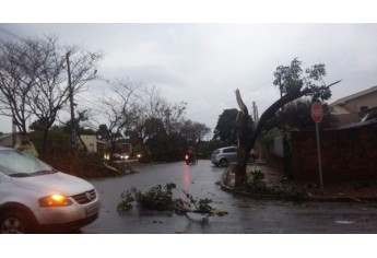 Tromba d´água avança do rio Paraná e se transforma em tornado ao destruir parte de Panorama