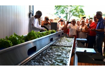 Alimentos são recebidos na área externa para primeira lavagem e a partir daí seguem por esteiras, até o interior da indústria (Foto: Acácio Rocha).