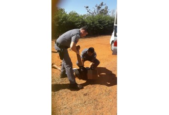 Genro fugiu mas foi preso pouco depois pela Polícia Militar .