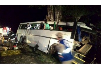 Ônibus colidiu contra árvores após ser alvejado por tiros, em tentativa de assalto (Foto: Polícia Rodoviária Federal/PRF).