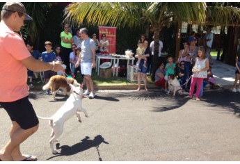 Parque das Nações promove Parada Animal