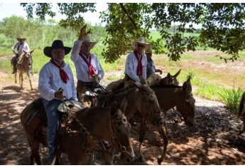 (Foto: Acácio Rocha/Siga Mais).