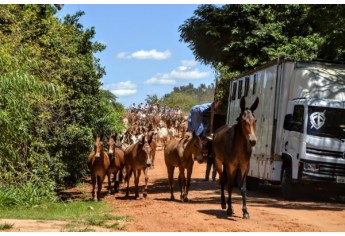 (Foto: Acácio Rocha/Siga Mais).
