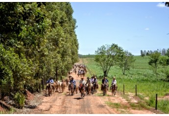 (Foto: Acácio Rocha/Siga Mais).