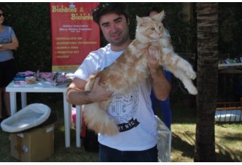 Parque das Nações promove Parada Animal