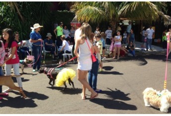 Parque das Nações promove Parada Animal