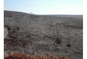 Policiais constataram fogo em área de cana de açúcar e área de preservação permanente, e multa usina (Foto: Polícia Ambiental).