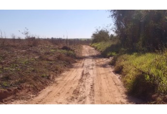 Área de plantio de cana-de-açúcar onde foi realizada queimada controlada sem autorização dos órgãos oficiais (Foto: Cedida/Polícia Ambiental).