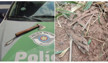 A machadinha usada na morte do animal e apreendida pela Polícia Ambiental, e a pata do cachorro, no local onde foi enterrado (Divulgação/PM Ambiental).