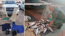 Pesca ilegal: mais de 50 kg de peixes e redes são apreendidos no Rio Aguapeí
