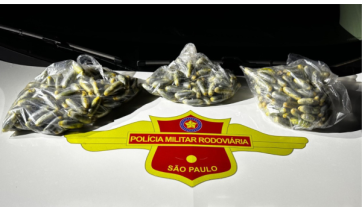 Três passageiros de ônibus são presos em Prudente após ingerir 291 cápsulas de cocaína 