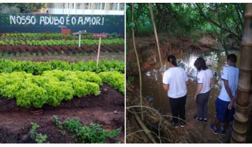 Projeto transforma área da escola em horta e mapeia microbacia hidrográfica de Adamantina (Imagens: Cedidas).