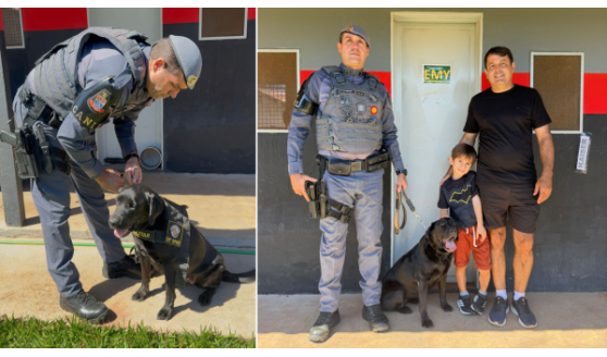 Emy, cão de faro do Canil da PM, se aposenta após anos de atuação na região 