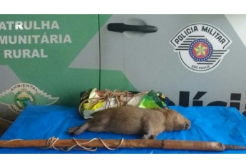 Capivara foi encontrada abatida e autores do crime ambiental identificados pela Polícia (Foto: Cedida/Polícia Ambiental).