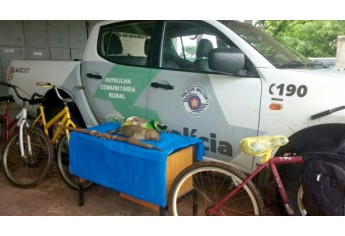 Capivara foi encontrada abatida e autores do crime ambiental identificados pela Polícia (Foto: Cedida/Polícia Ambiental).