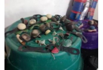 Polícia Ambiental apreende 77 galos que eram utilizados em rinha