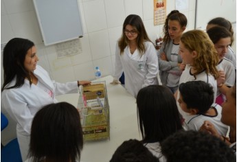 Clínica Veterinária da UniFAI recebeu 200 alunos das escolas estaduais Helen Keller e Prof. Durvalino Grion (Foto: UniFAI).