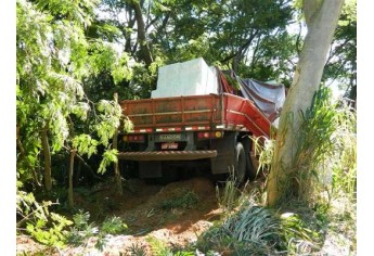 Condutor perde controle e carreta colide em árvores na SP-294 (Foto: Folha Regional/Pacaembu)