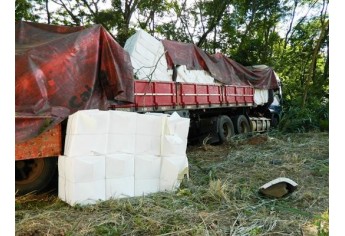 Condutor perde controle e carreta colide em árvores na SP-294 (Foto: Folha Regional/Pacaembu)