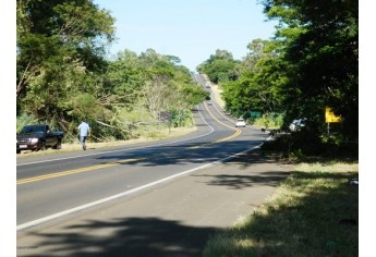 Condutor perde controle e carreta colide em árvores na SP-294 (Foto: Folha Regional/Pacaembu)