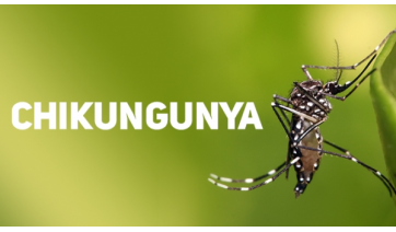 Prefeitura confirma notificações para chikungunya com um caso positivo; dois foram descartados