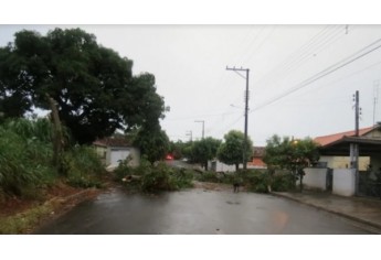 Chuva deixa rastro de estragos em Osvaldo Cruz, na tarde deste sábado (Foto: Rádio Metrópole / Portal Metrópole / Cristiano Nascimento).