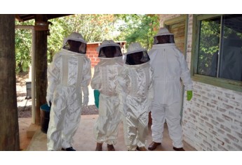 Congressos Científicos da UniFAI oferecem neste ano exposições e cursos voltados à apicultura regional (Foto: Unifai).