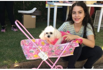 Parque das Nações promove Parada Animal