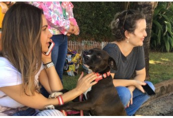 Parque das Nações promove Parada Animal