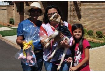 Parque das Nações promove Parada Animal