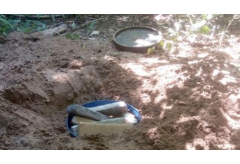 Tijolos de maconha estavam distribuídos em três tambores plásticos, enterrados em área de mata (Foto: Cedida/Deinter 8).