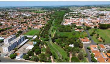 Fatec Adamantina mapeia arborização da cidade com inteligência artificial
