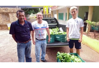 Horta Agroecológica ProEduc-FAI doa hortaliças a entidades assistenciais de Adamantina (Foto: Cedida/UniFAI).