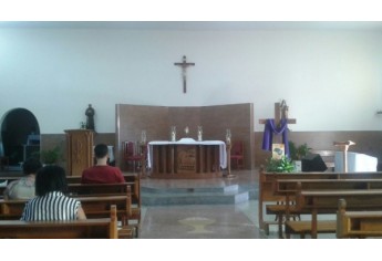 Dracena - São Francisco de Assis (Foto Divulgação).