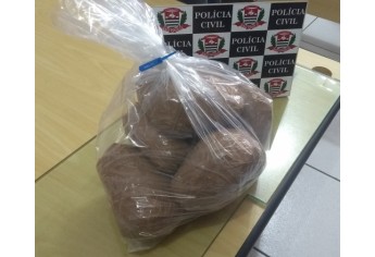 Droga foi apreendida pela Polícia Civil de Dracena (Foto: Cedida/Polícia Civil).
