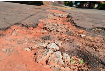 Jardim Adamantina (Foto: Acácio Rocha).