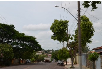 SIGA MAIS foi às ruas e encontrou podas na Avenida Deputado Cunha Bueno (Foto: Acácio Rocha).
