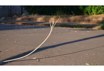 Cabo rompido está sob a via pública, na Praça da Estrela (Foto: Acácio Rocha).