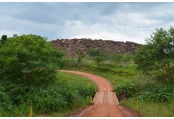 Descarte de podas de árvores tem área específica, nas proximidades da usina de lixo (Foto: Acácio Rocha).
