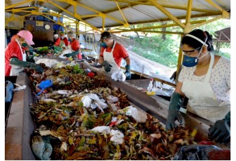 Funcionários da Usina realizam triagem do lixo que é transportado por esteira (Foto: Acácio Rocha).