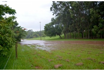 Parque dos Pioneiros, durante as chuvas desta sexta-feira (Foto: Acácio Rocha).