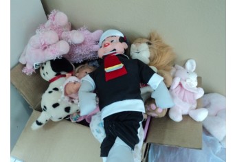 Brinquedos arrecadados no trote solidário serão doados a entidades assistenciais (Foto: Cedida).